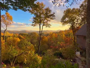 Fall colors.